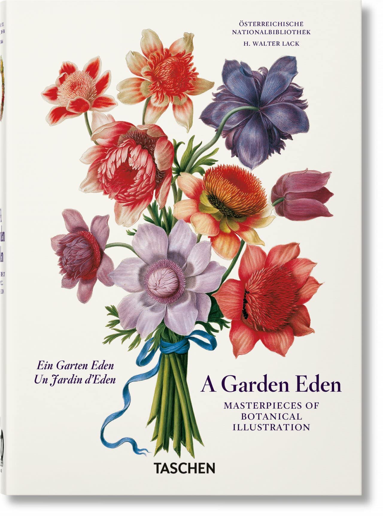  A garden eden